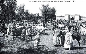 BIVEN Georges - 251- Oujda